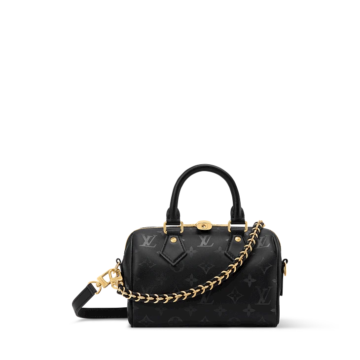 SPEEDY BANDOULIÈRE 20 handbag